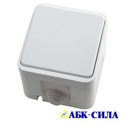 Выключатель 1-клавишный 10А ОУ IP44 "ПЕГАС" белый АБК-СИЛА (1/10/200) 2201 оптом