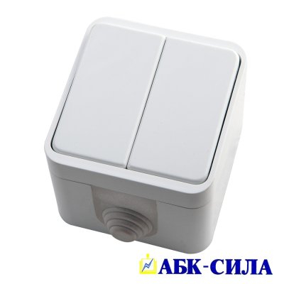 Выключатель 2-клавишный 10А ОУ IP44 "ПЕГАС" белый АБК-СИЛА (1/10/200) 2202 оптом